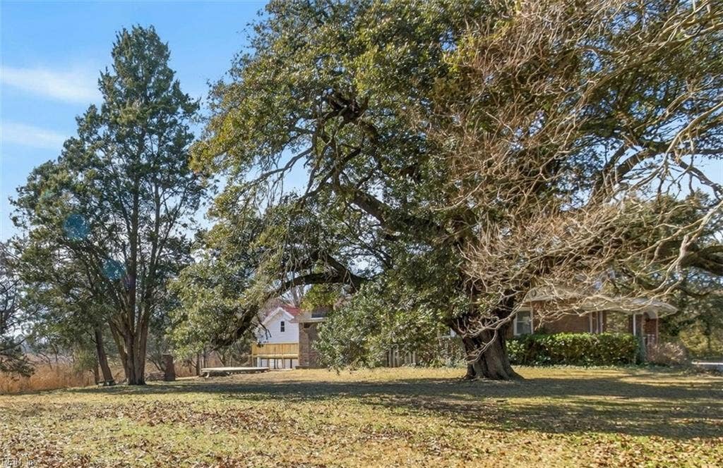 View of large backyard from neighboring lot