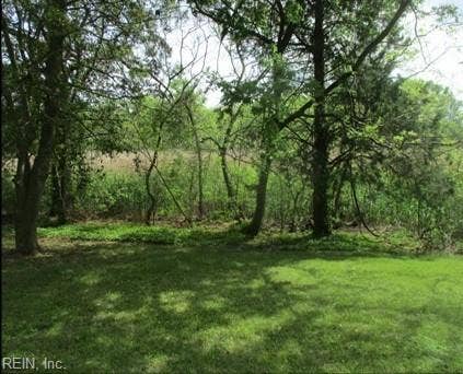 Standing toward back of property