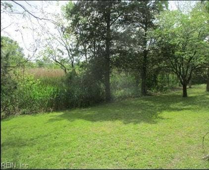 View looking along back of property and Broad Ck