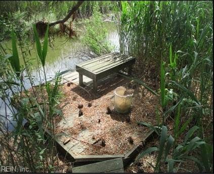 Private fishing area toward back of property on Broad Ck