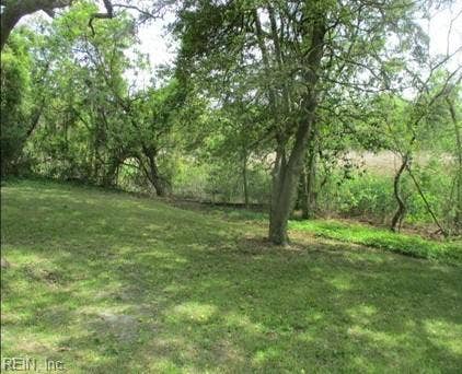 Another view of back corner of property