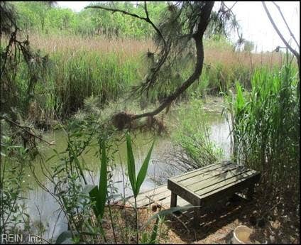 Private fishing area toward back of property on Broad Ck