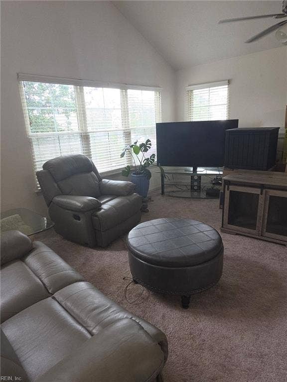 5112 Heathglen Circle, Woodbridge Condos, Virginia Beach, VA 23456 LIVING ROOM