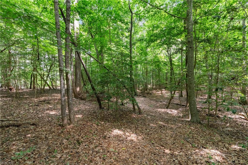 113 Spivey Farm Lane, Suffolk, VA 23438
