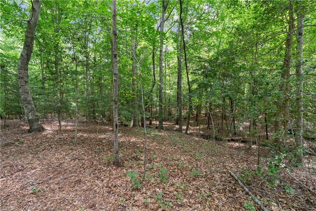 113 Spivey Farm Lane, Suffolk, VA 23438