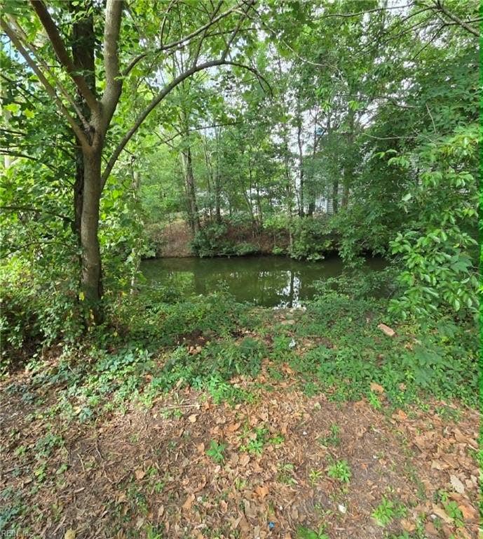 Wooded community pond just beyond the fence — peaceful natural backdrop
