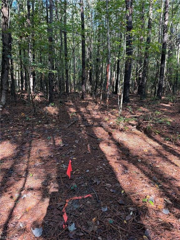 Parcel Dripping Springs Road, Dendron, Dendron, VA 23839