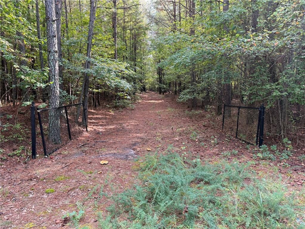 Parcel Dripping Springs Road, Dendron, Dendron, VA 23839