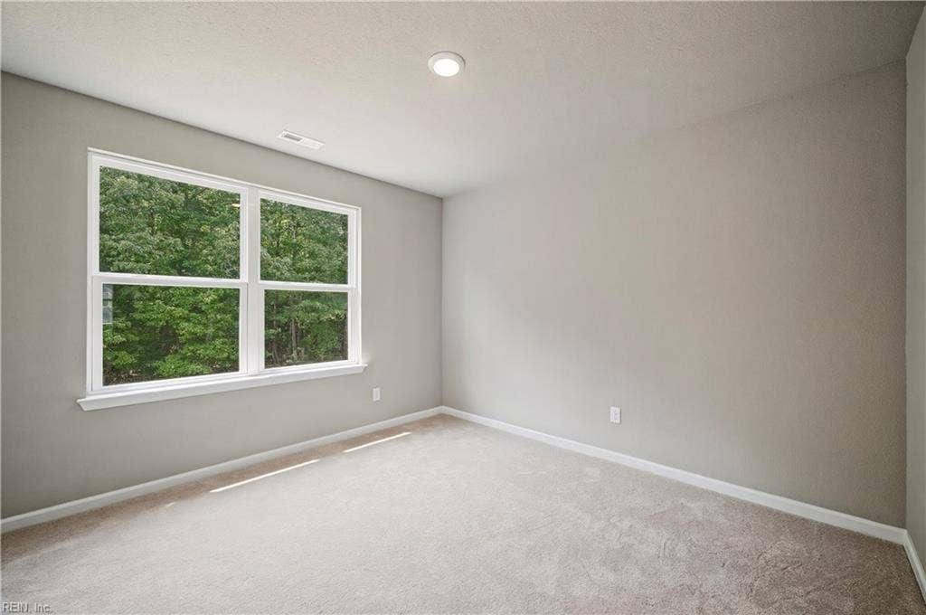 14160 Booker T Drive Drive, Carrollton, VA 23314