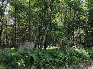 Property photo for 0 Spring Grove Road, Glocester, RI