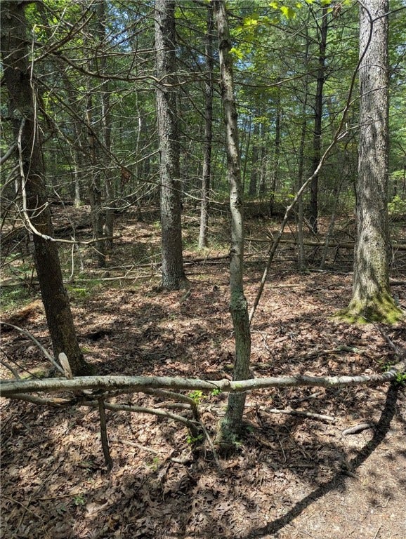 Property photo for 0 Douglas Pike, North Smithfield, RI