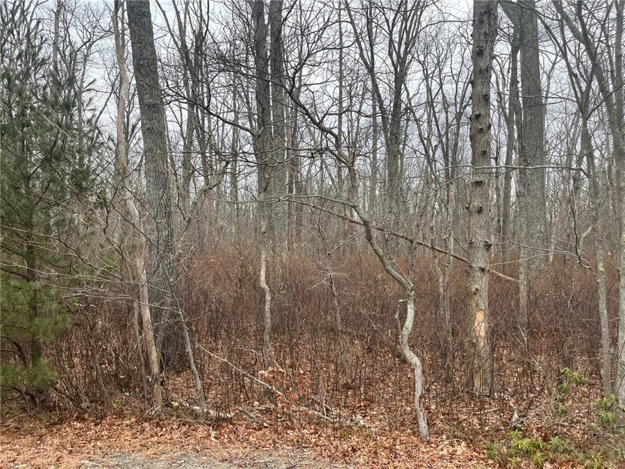 Property photo for 0 Wallum Lake Road, Burrillville, RI