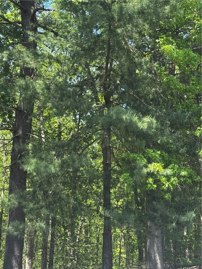Property photo for 0 East Wallum Lake Road, Burrillville, RI
