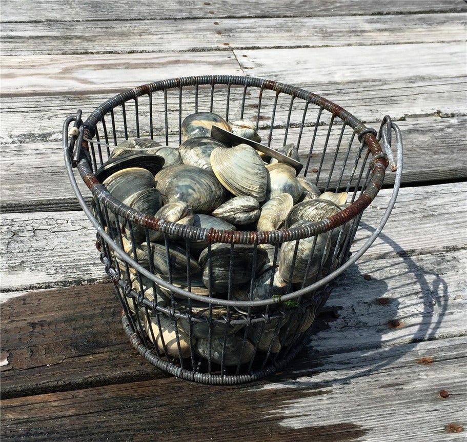137 Cove Point East, Charlestown, RI 02813 137 Cove Point East, Charlestown, RI 02813
