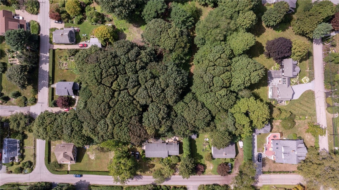 0 Plymouth Road, Jamestown, RI 02835 Aerial directly over lot.