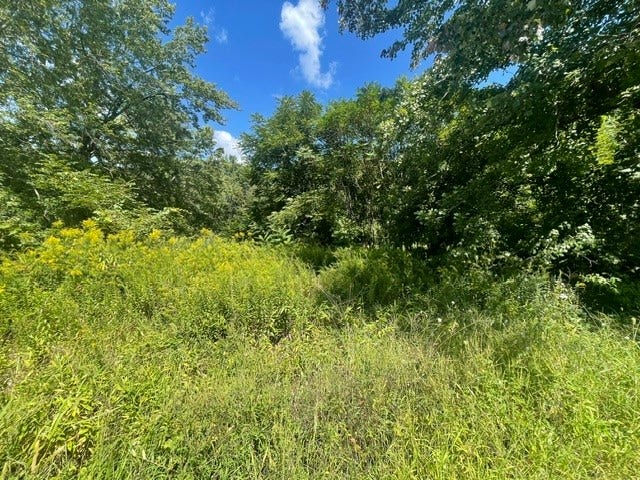 Property photo for 0 Wallum Lake Road, Burrillville, RI