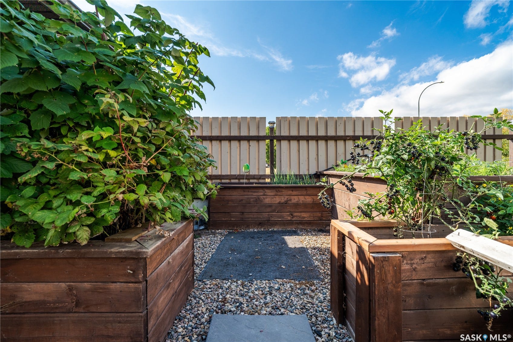 Garden boxes