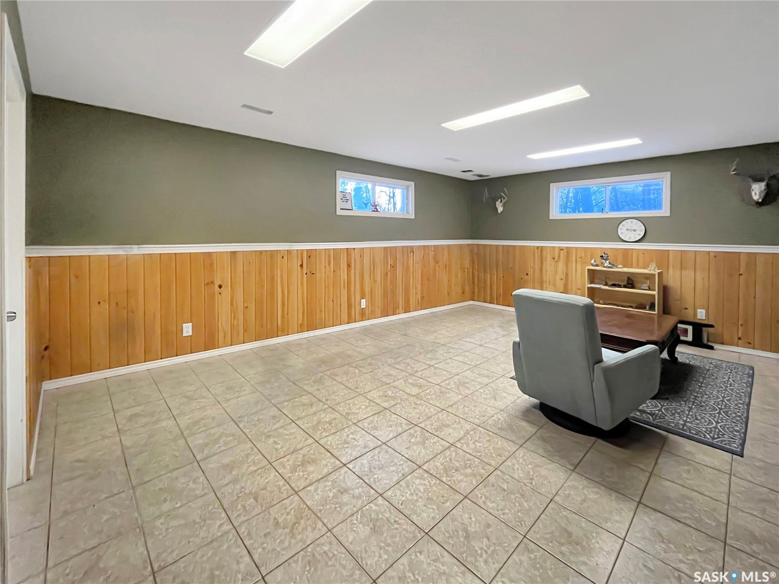 Basement living area