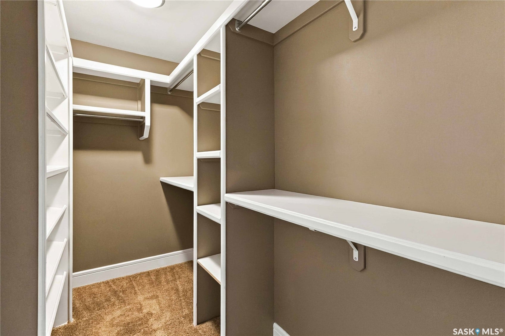 Walk-in closet featuring white shelving, multiple hanging rods, and carpet flooring