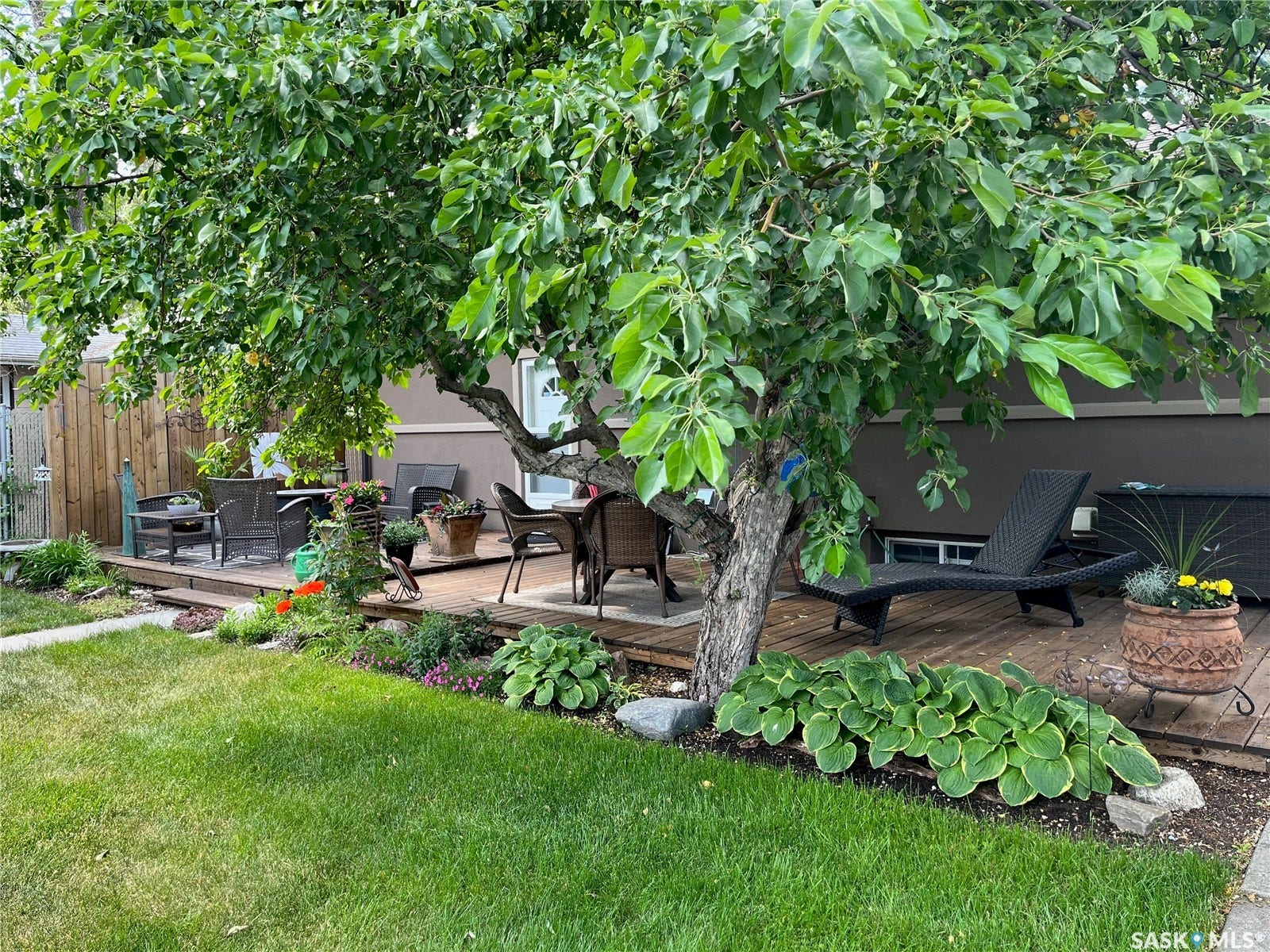 backyard in summer