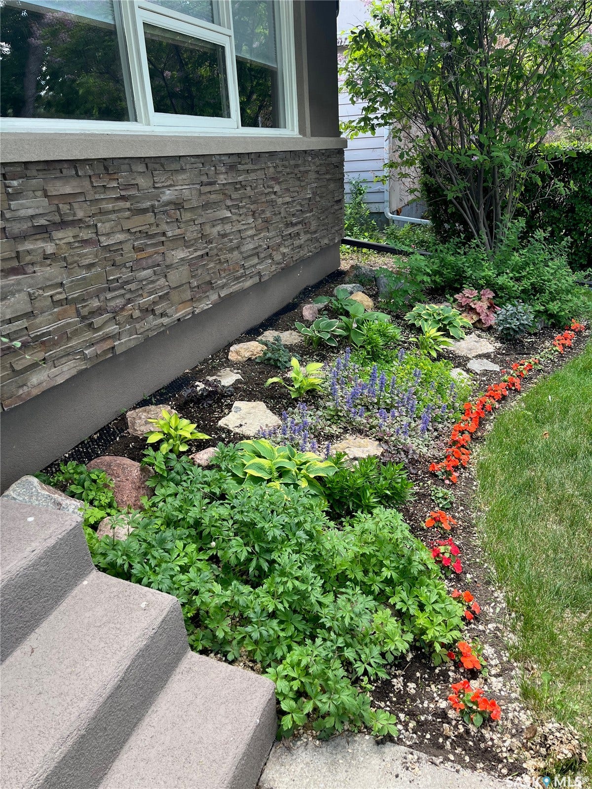 front garden bed in front