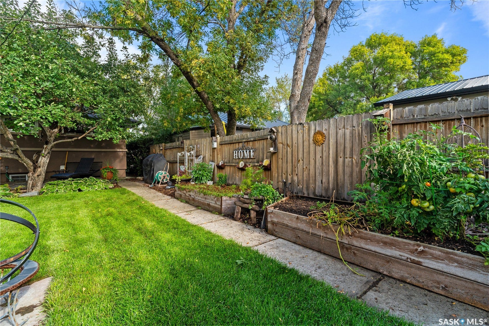 back yard garden area