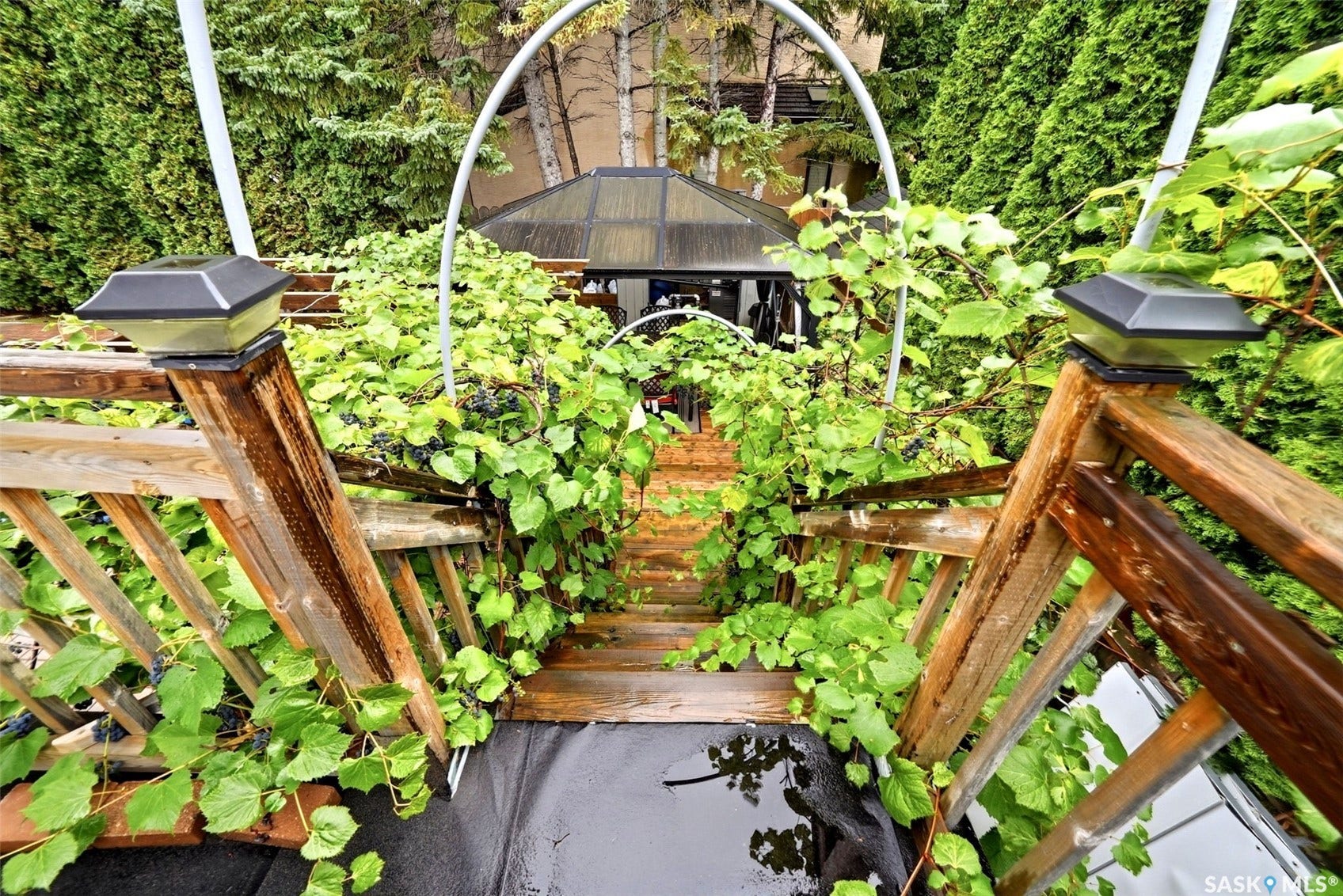 Wood-finish deck with integrated solar post cap lights, mature climbing vines, and a garden gazebo