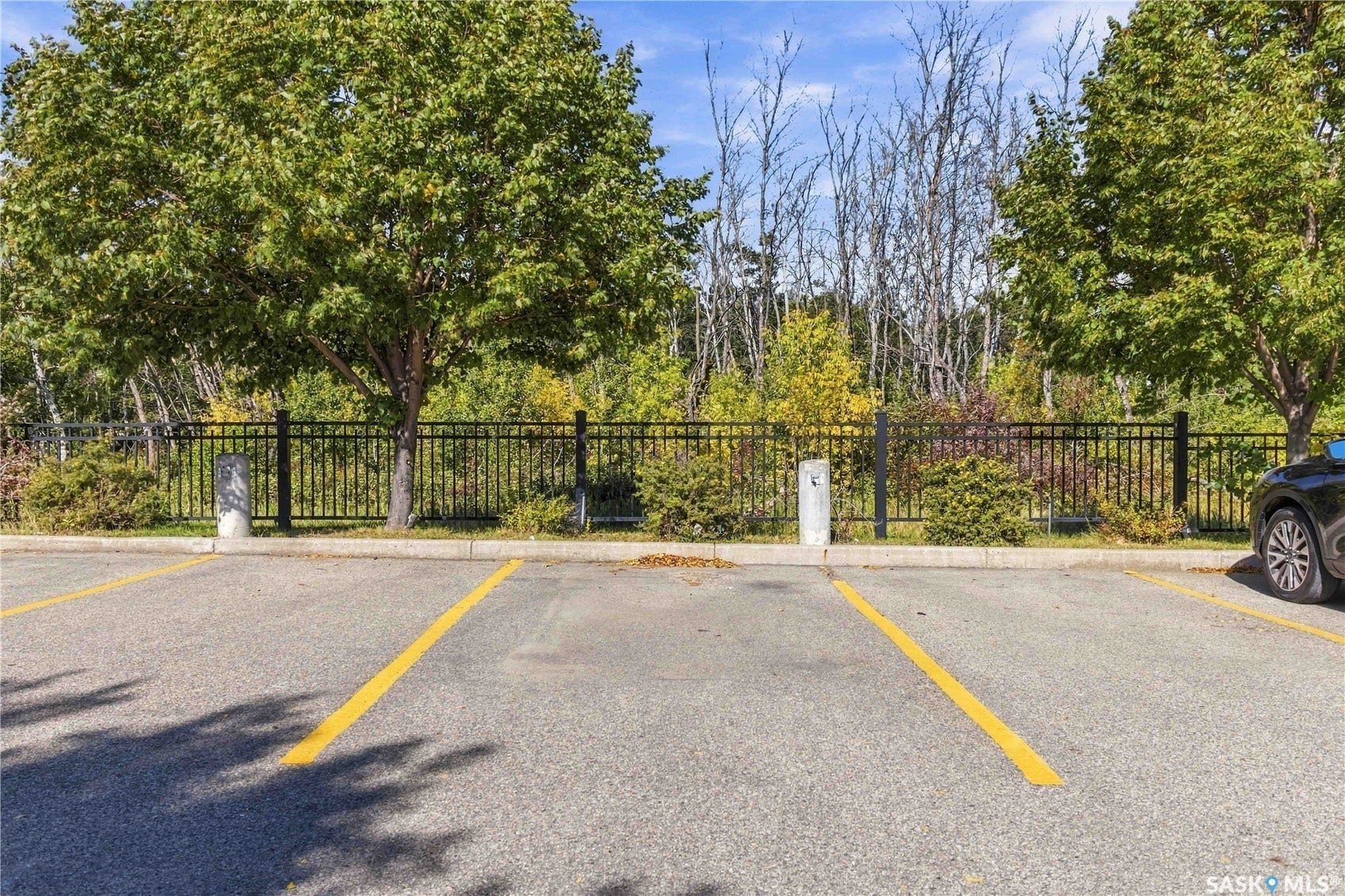 Paved parking area featuring defined parking spaces, mature trees, and a black wrought iron fence