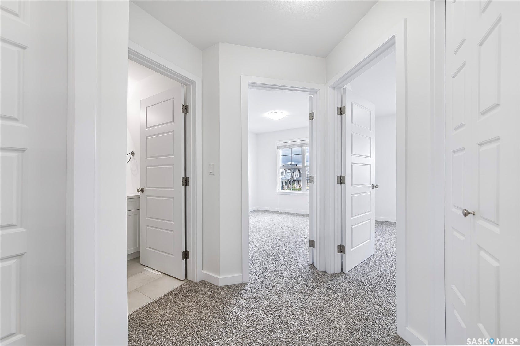 Hallway with light gray carpet flooring, white paneled doors, and ceiling-mounted lighting