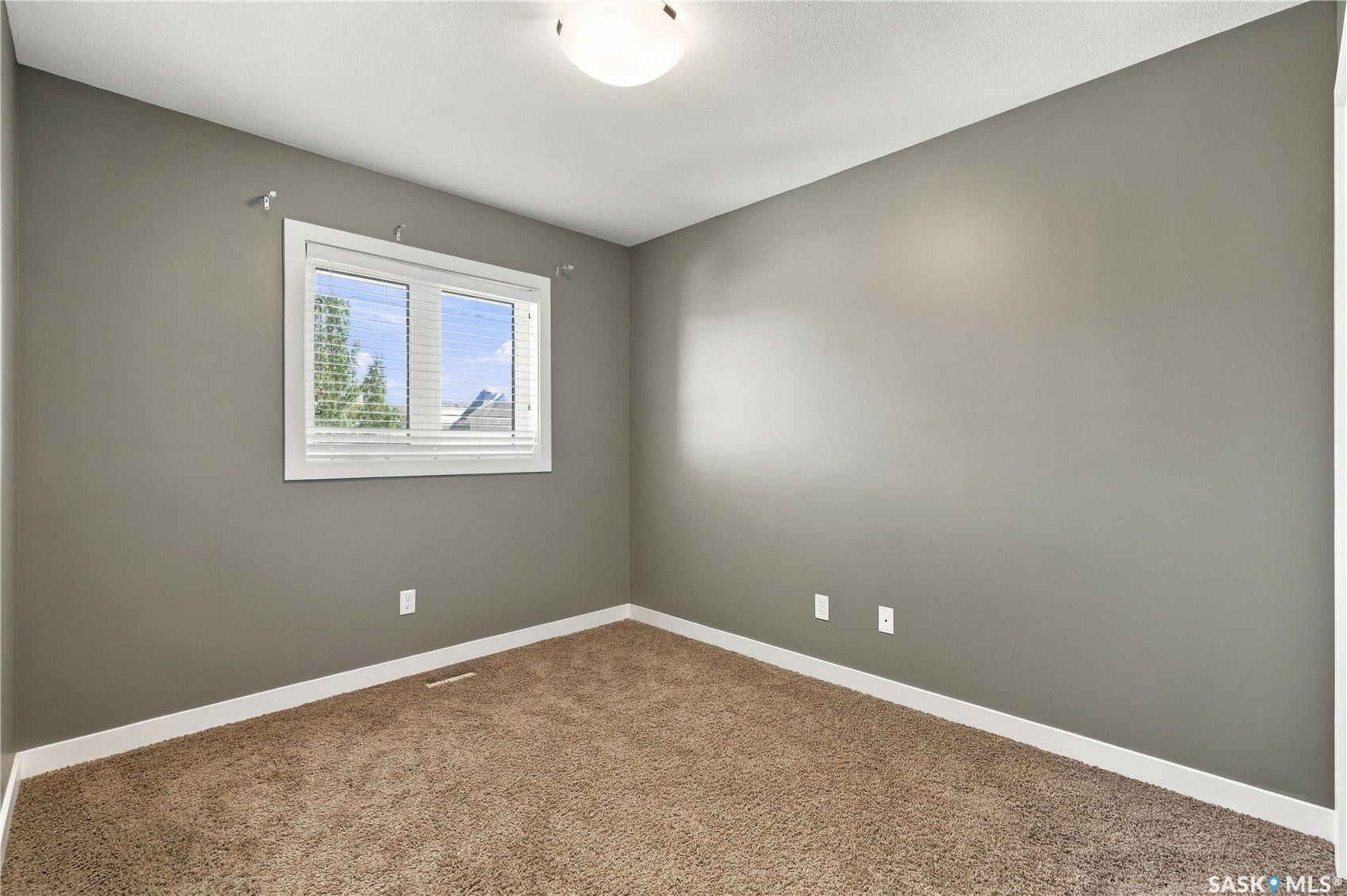 Neutral gray wall paint, white trim, brown carpeting, and a white-framed window