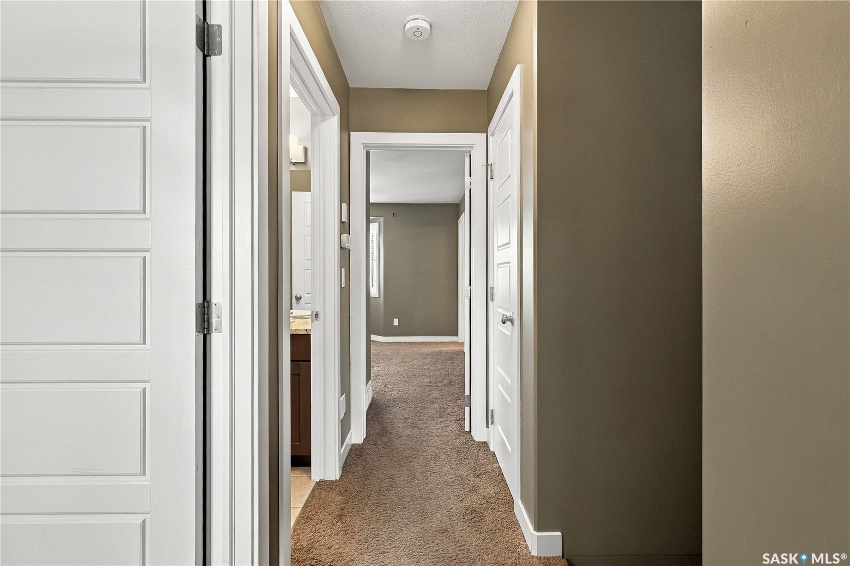 Hallway featuring carpet flooring, painted walls, white trim, and panel doors
