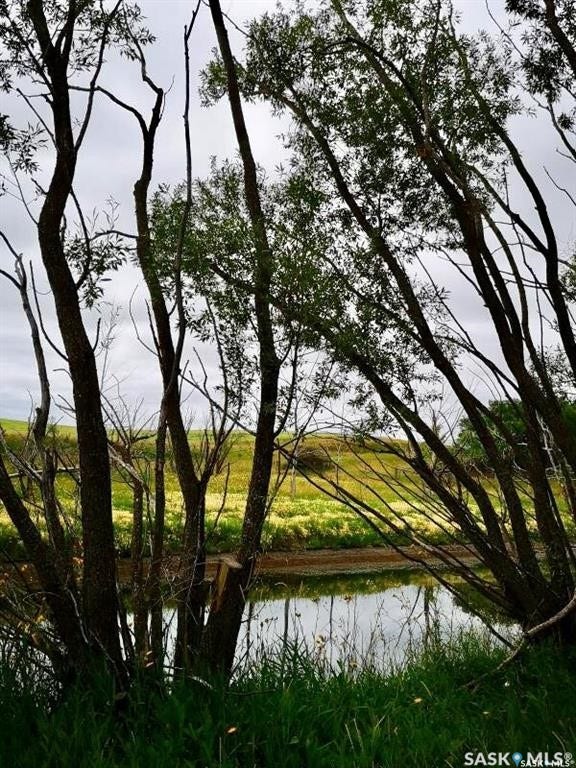 Natural water feature surrounded by mature trees and lush green vegetation