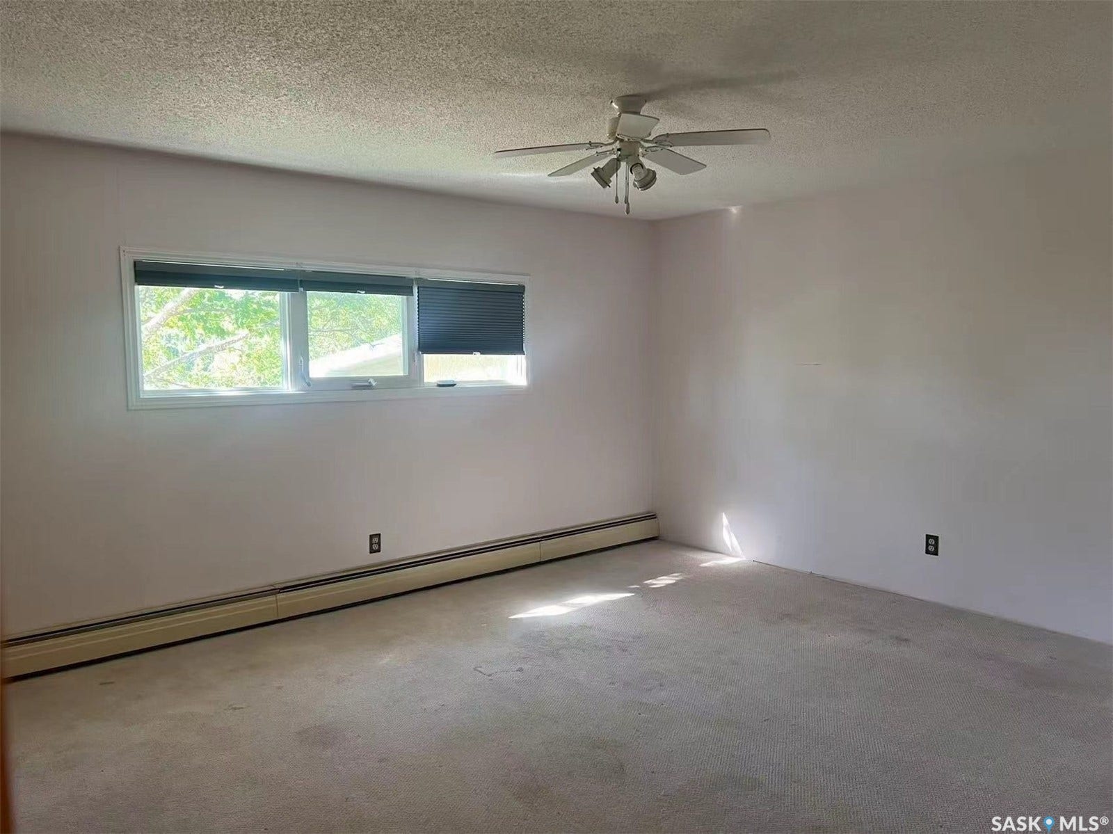 Wall-to-wall carpeting and neutral wall tones
