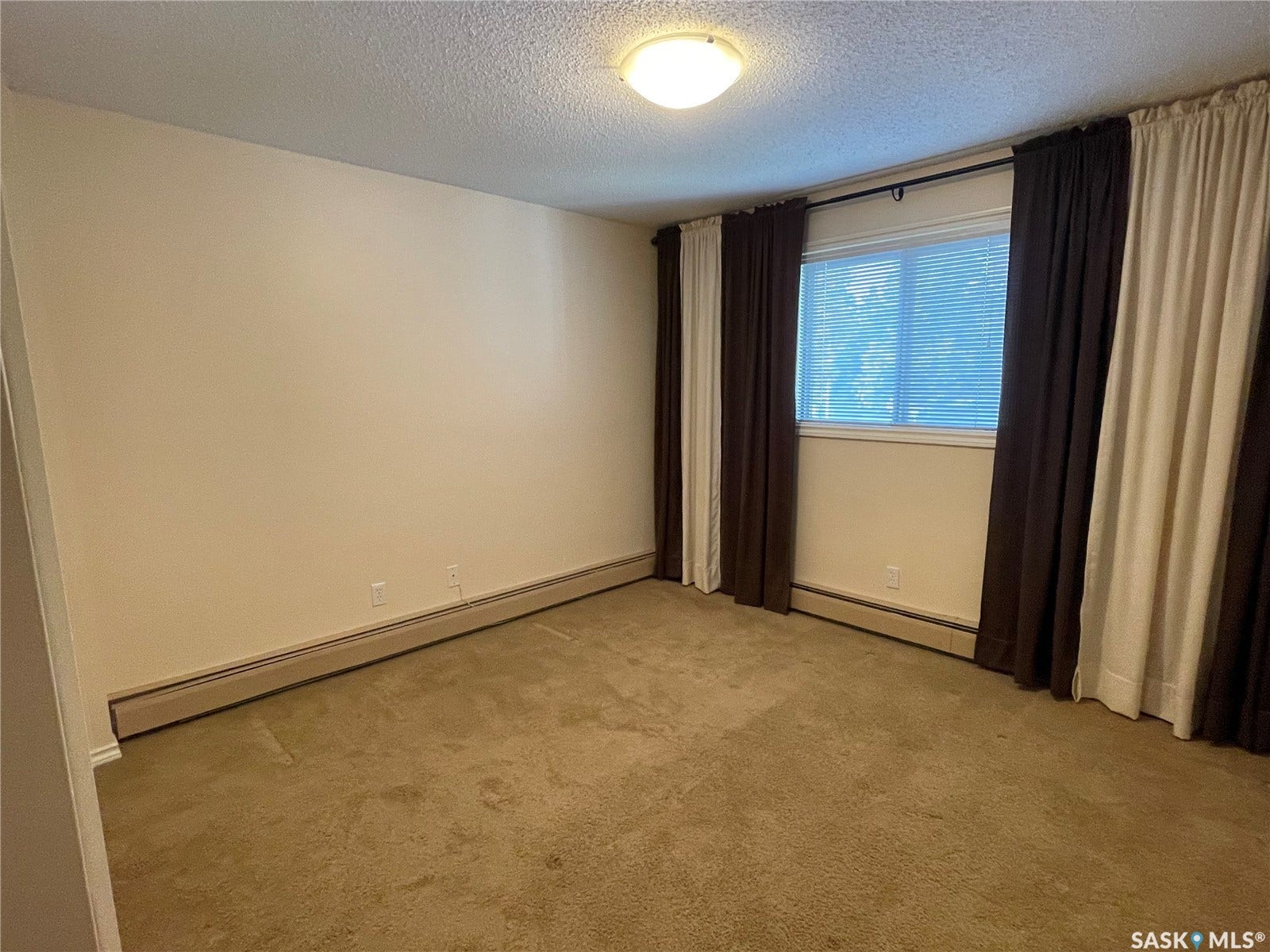 Wall-to-wall carpeting, neutral wall color, and a window with blinds