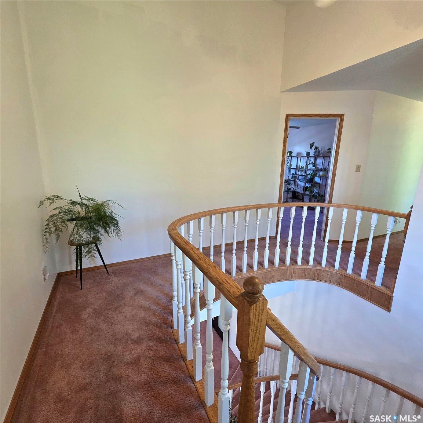 Curved staircase with wood railing and white balusters