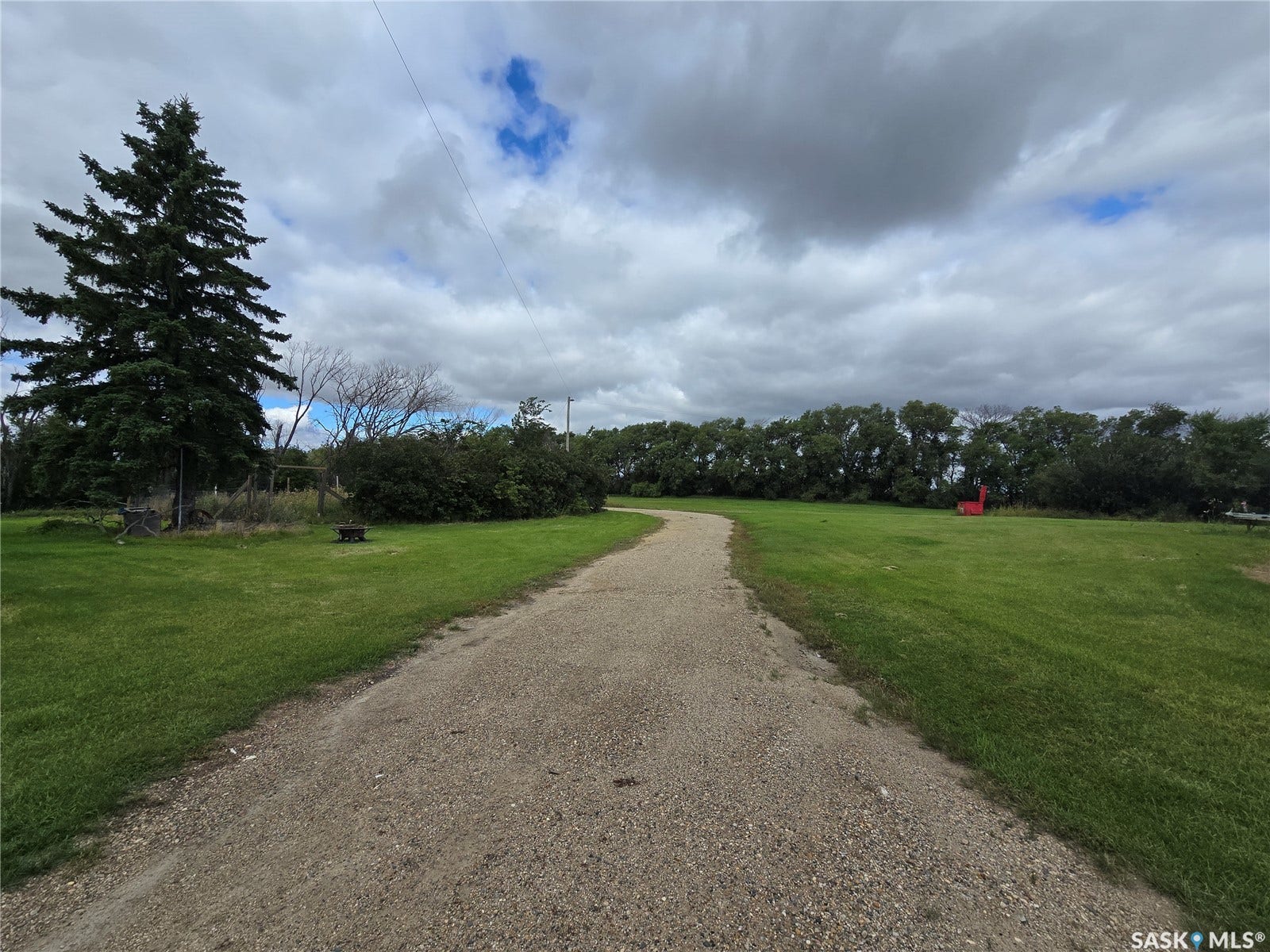 Gravel driveway with expansive green lawn, mature evergreen tree, and dense perimeter foliage