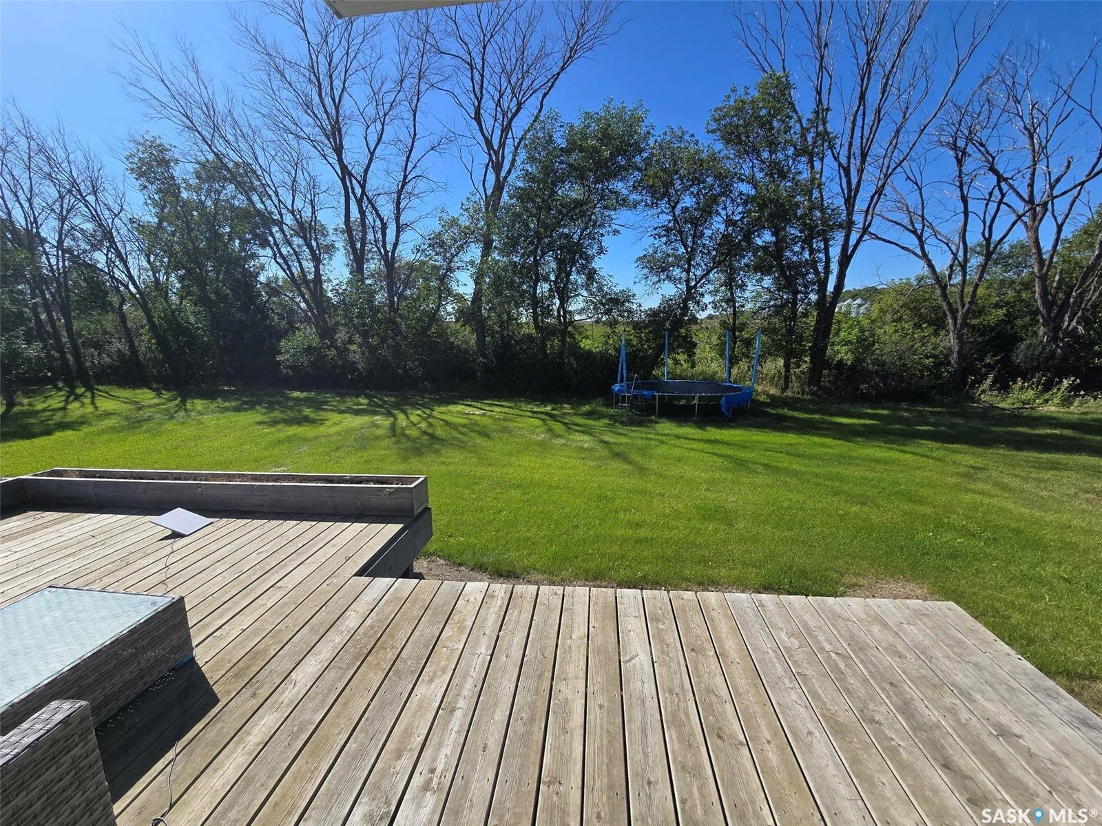 Expansive backyard featuring a manicured lawn, mature trees, and a wooden deck