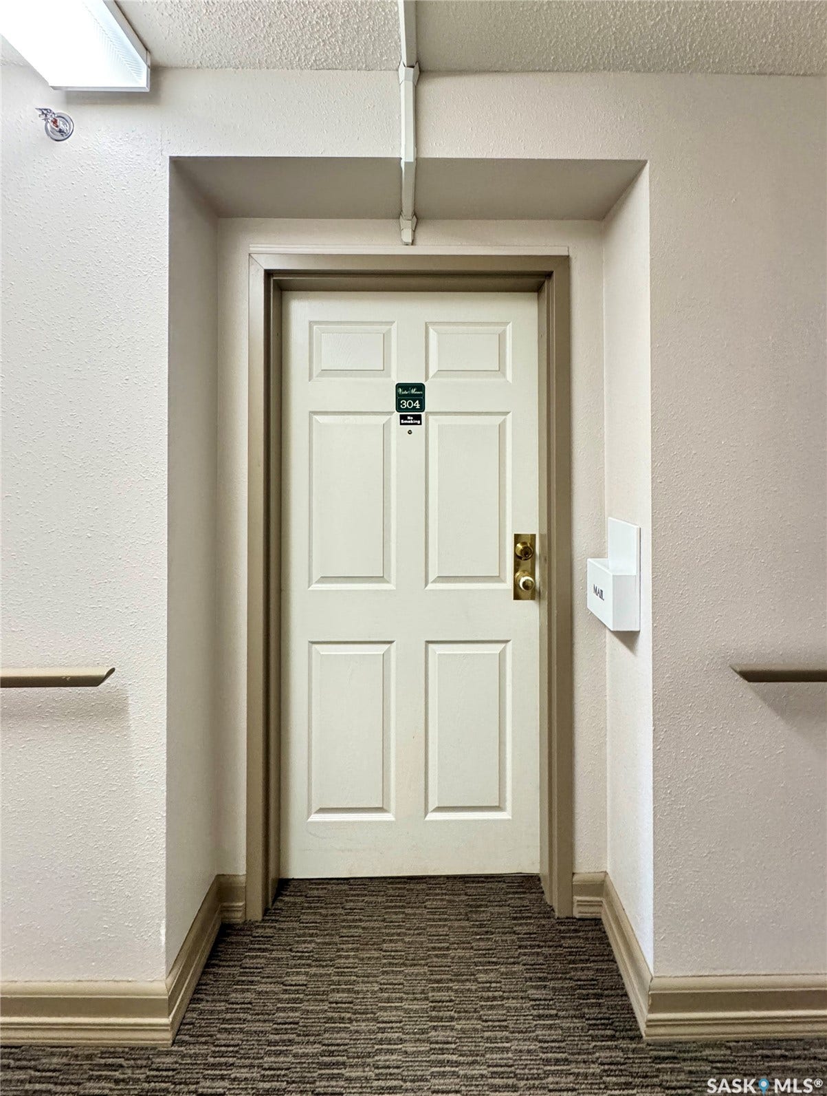 Textured carpeting with a panel door featuring brass hardware