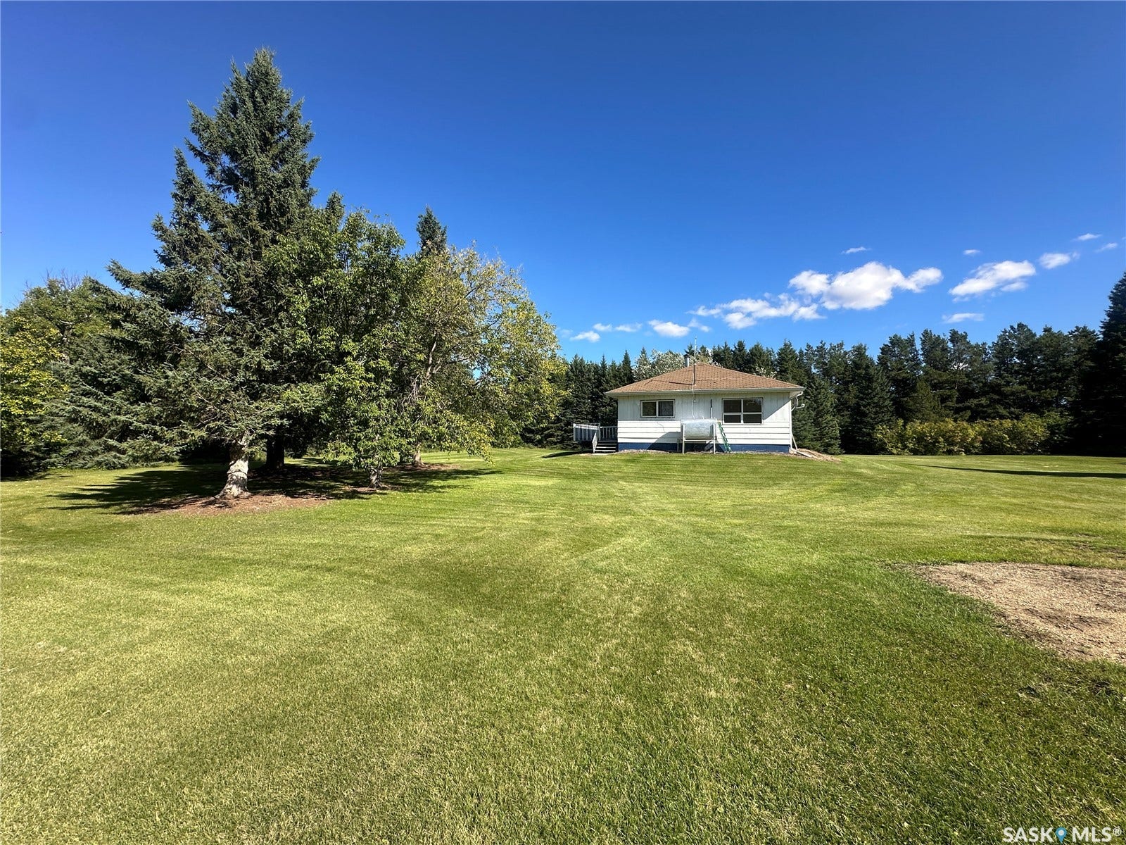 Expansive green space featuring a detached white residence with a brown shingle roof, mature evergreen trees, and additional foliage