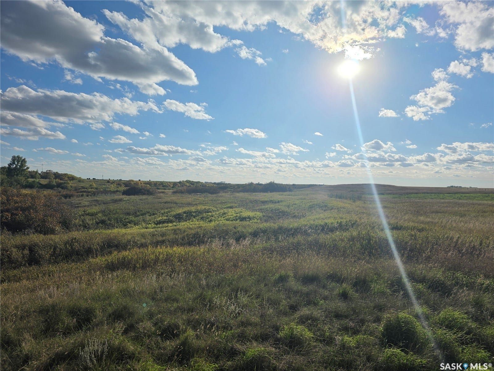 View of Manybone Creek