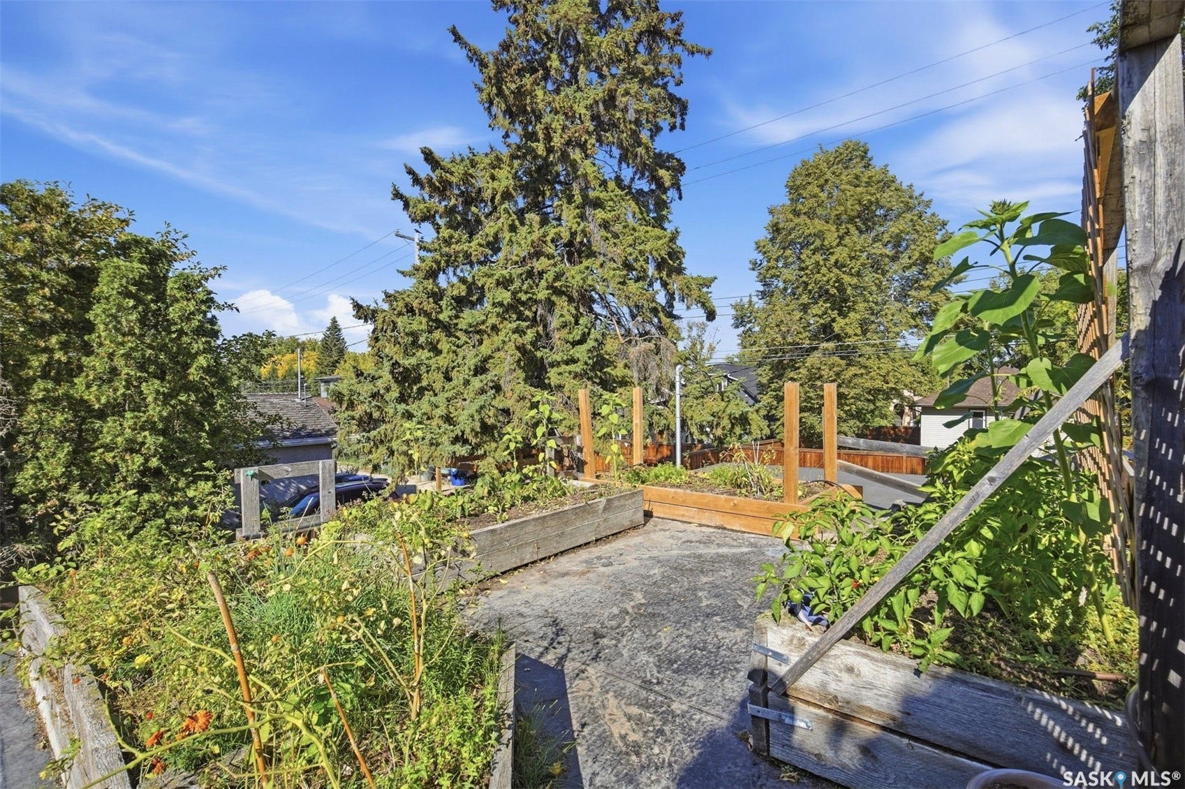 Rooftop garden featuring multiple raised wood planters and mature surrounding trees