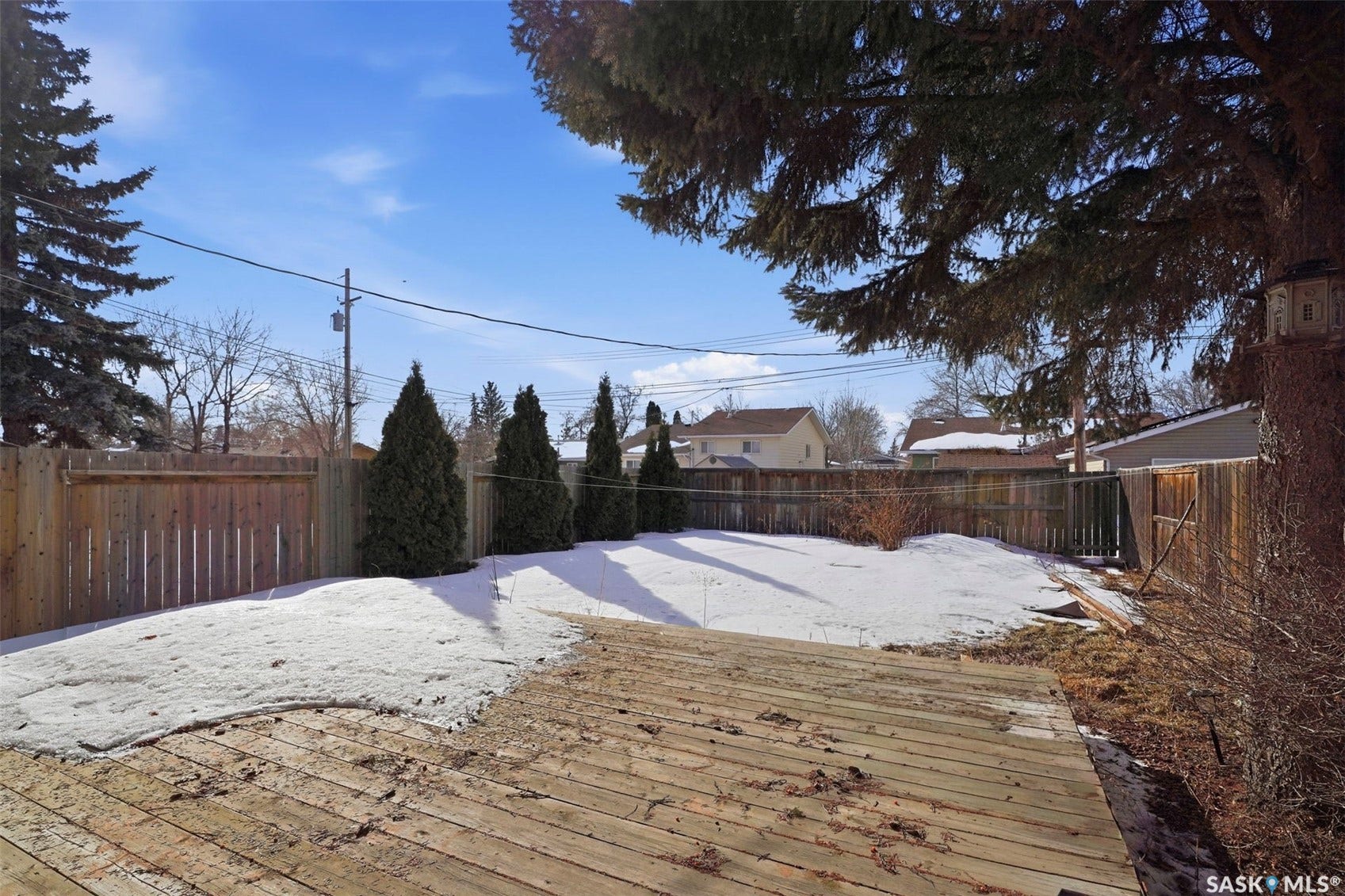 Spacious backyard featuring a composite deck, generous lawn area, and mature evergreen landscaping