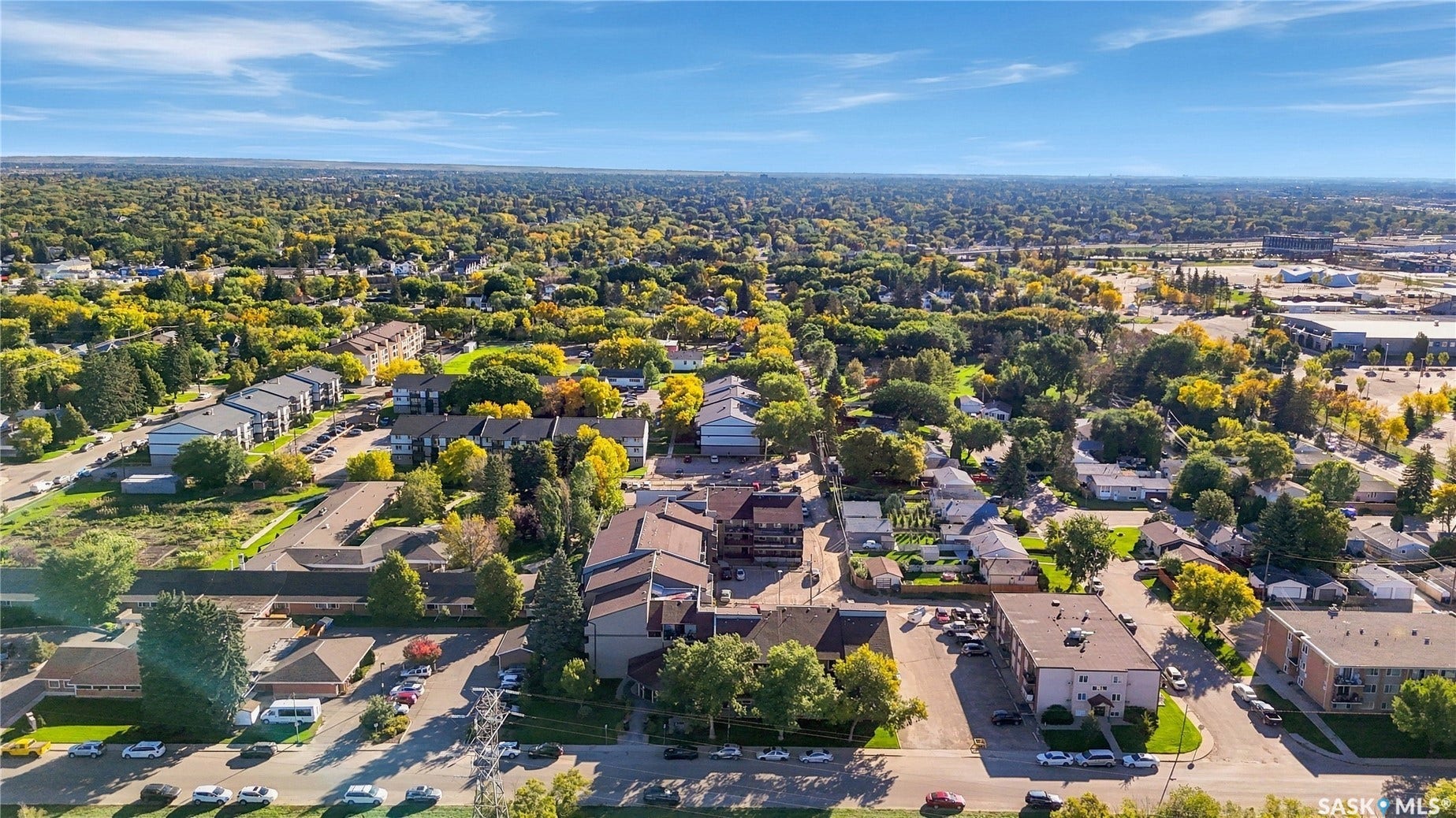 Expansive neighborhood with diverse architectural styles, abundant mature trees, and multiple residential structures