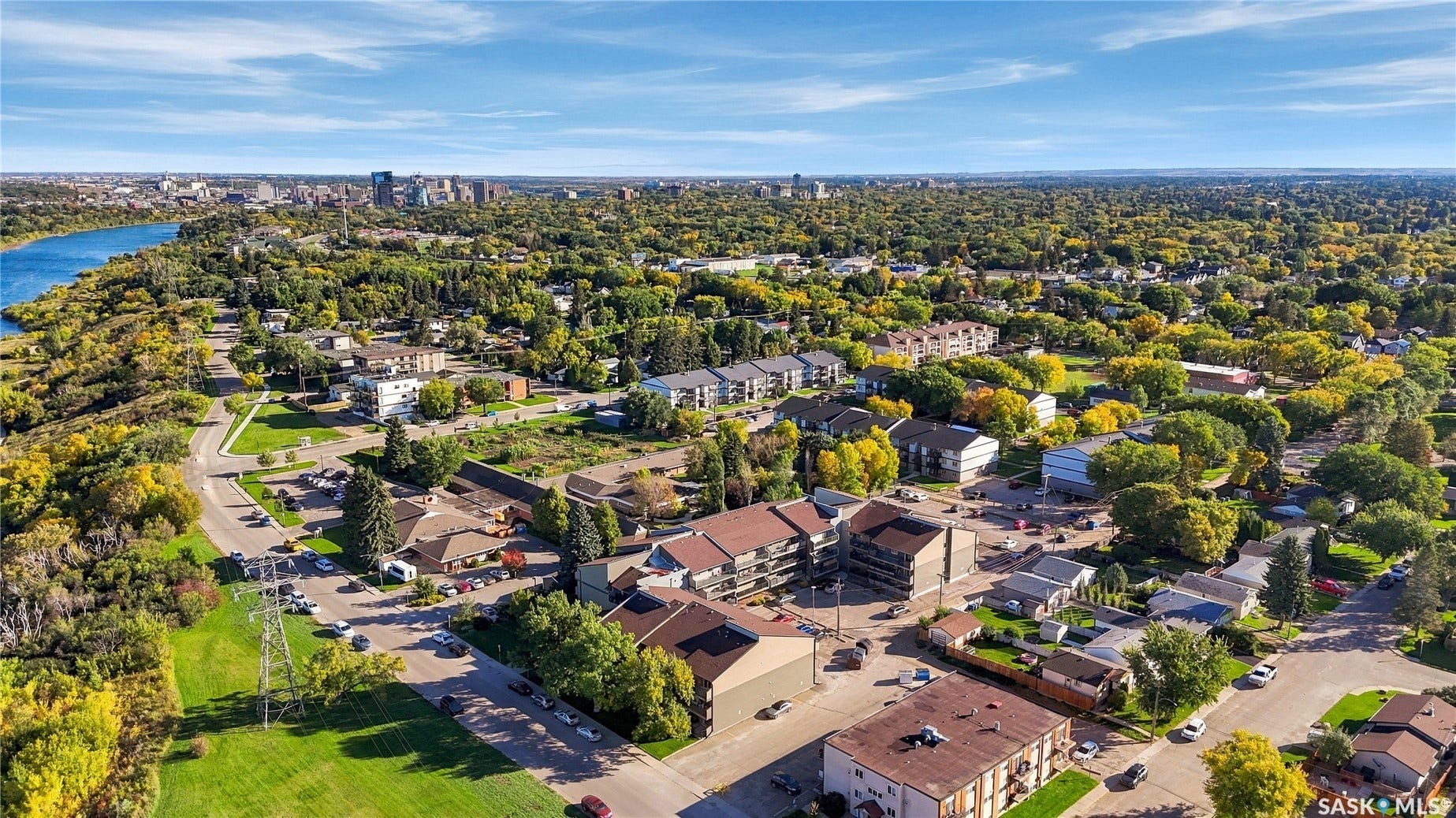 Urban landscape featuring a river, dense tree canopy, and distant city skyline