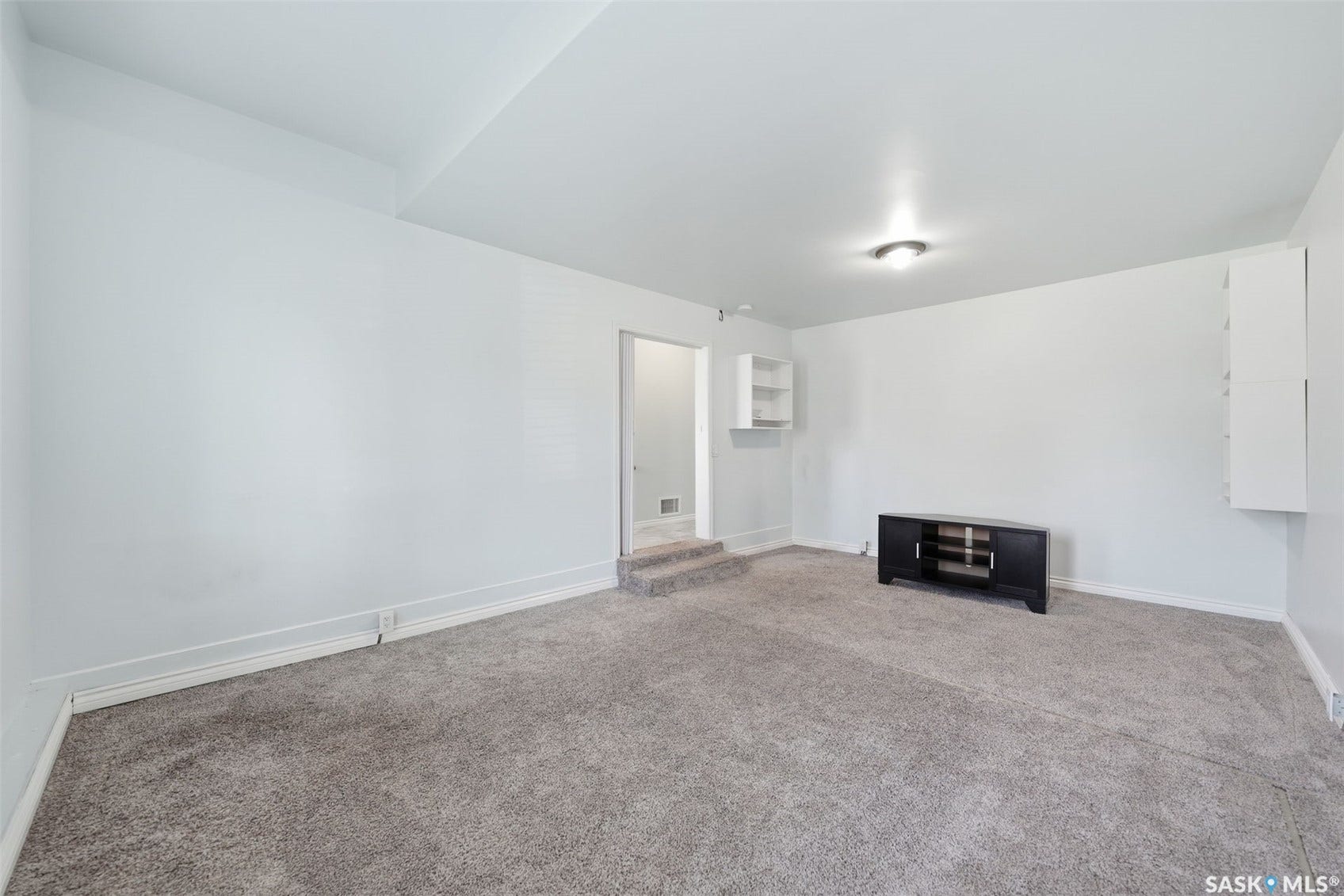 Plush gray carpeting, white painted walls, ceiling-mounted light fixture, and built-in shelving