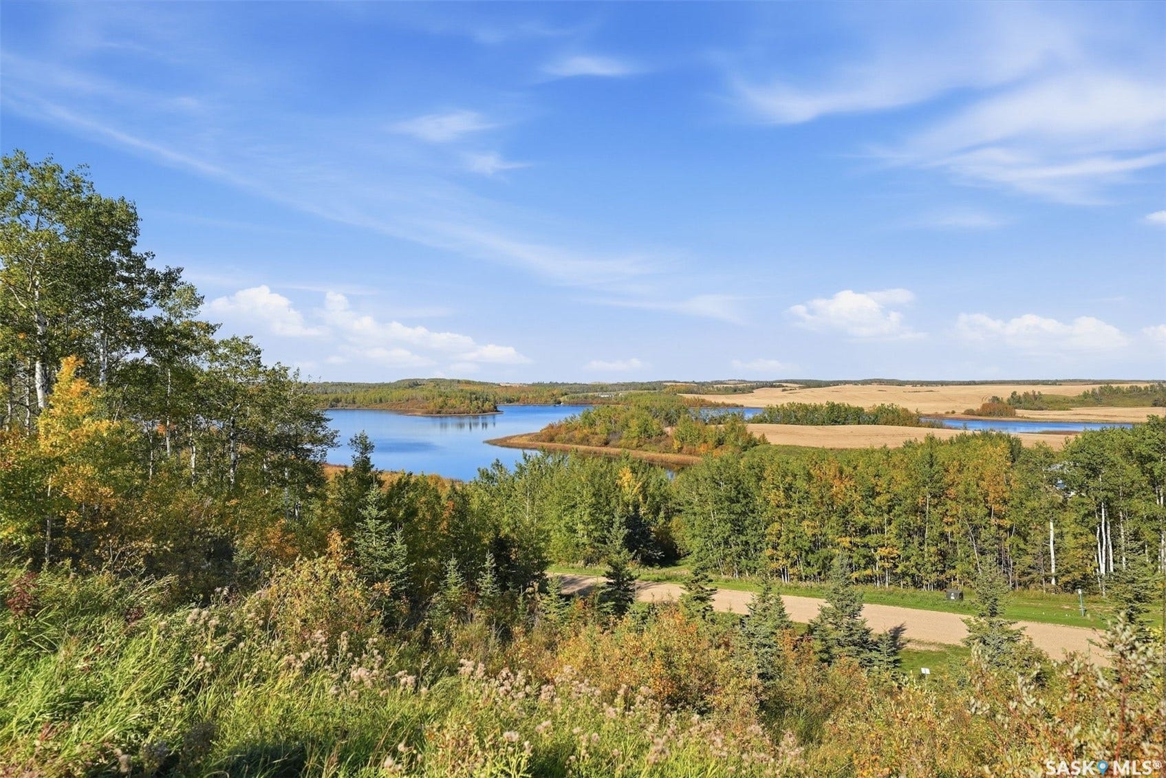 Expansive natural landscape featuring a body of water, mature trees, and open fields under a blue sky