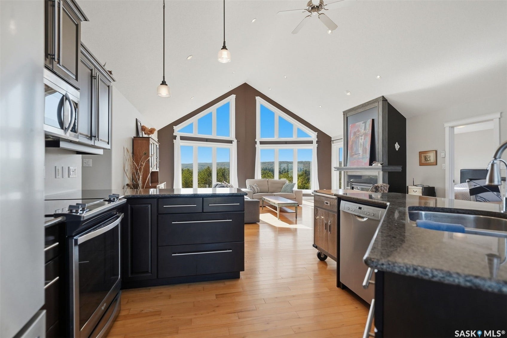 Vaulted ceiling with a ceiling fan, recessed lighting, wood-finish flooring, and a kitchen featuring dark cabinetry with stainless steel appliances and a granite-style countertop