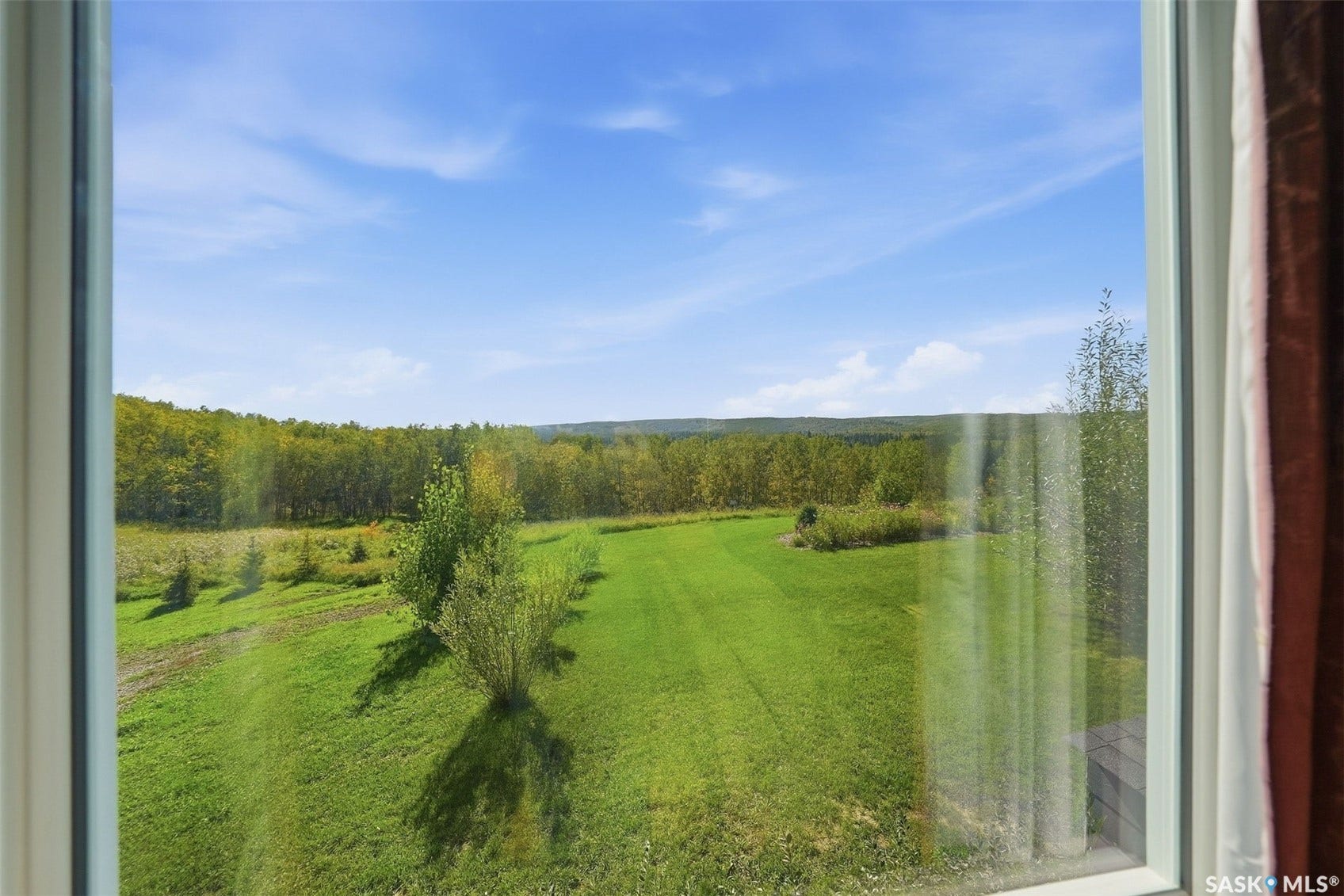 Expansive green space bordered by mature trees and a distant tree line