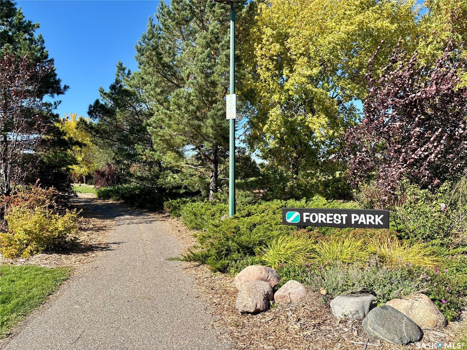 Paved pathway bordered by varied landscaping and mature trees