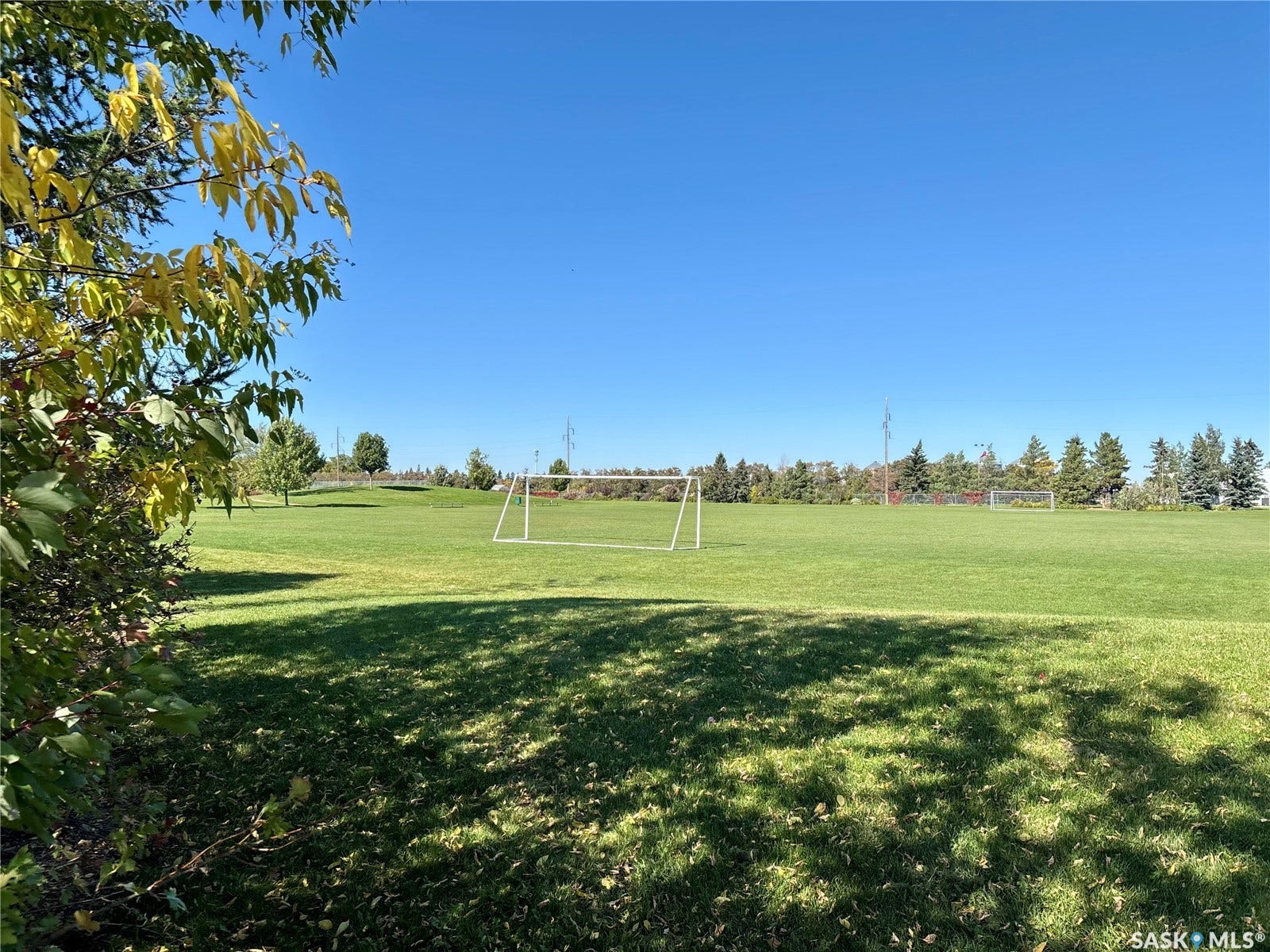 Expansive green space featuring a manicured lawn, established trees, and a visible soccer goal